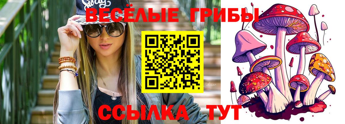 Псилоцибиновые грибы Psilocybe Сергиев Посад